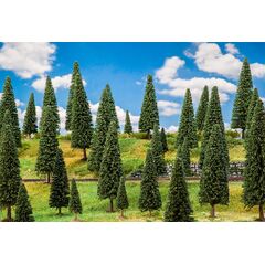 50 sapins assortis