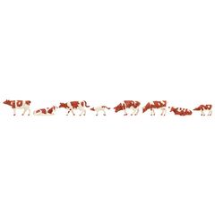 Vaches tachetées de brun