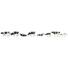 Vaches noir et blanc