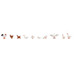 Poulets Canards et oies