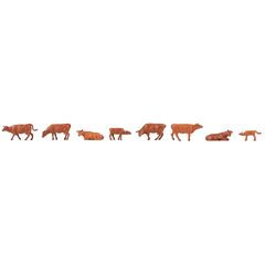 8 Pêcheurs Bovins