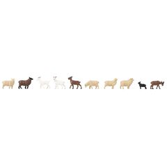 Moutons et chèvres