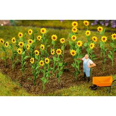 16 Sonnenblumen