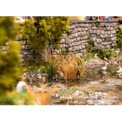 26 Plantes de roseaux