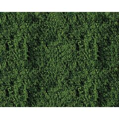 Voile de feuillage vert foncé