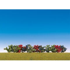 12 buissons de couleurs assorties