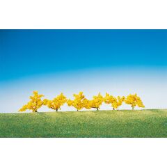 6 forsythias à fleurs jaunes
