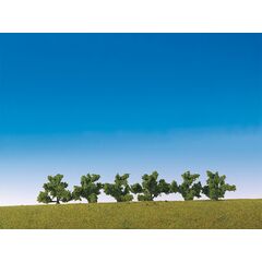 6 buissons verts