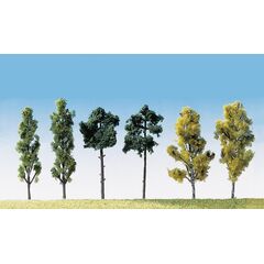 6 arbres assortis