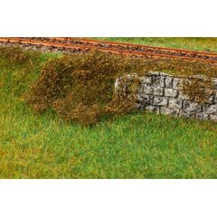 Feuillage multicolore