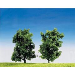 2 Eschen Top Serie 14cm