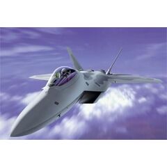 F-22 Raptor