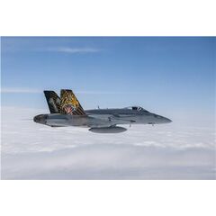 F/A-18 Hornet Tiger Meet 2016