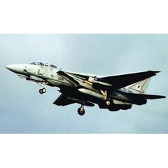 F-14A Tomcat