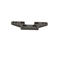 D216 - REAR CAMBER PLATE (BLACK)