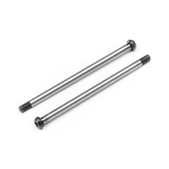 HINGE PIN SET (REAR OUTER 2PCS)