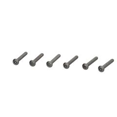 Vis tête bombée M3x25mm (6pcs)