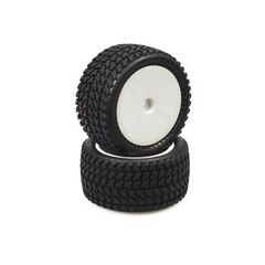 Hobbytech AllTerrain arriere complet 1Paar