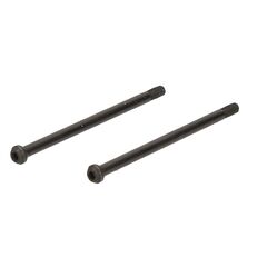 Hinge Pin (Outer/2pcs/D817T)
