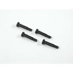 STUFENSCHRAUBE 4x20mm (4ST. - SAVAGE .21)