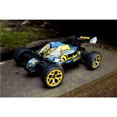 4WD Buggy Beesting