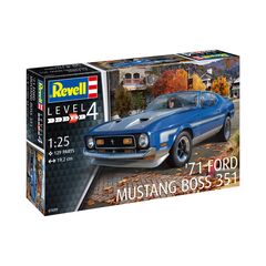 71 Mustang Boss 351