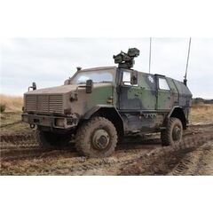 Dingo 2A3.1