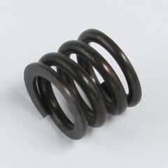CLUTCH SPRING MRX2