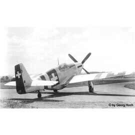 ARW10.61042-P-51B Mustang