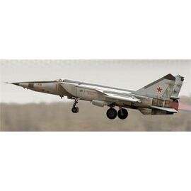 ARW90.03878-MiG-25 RBT
