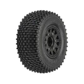 Proline Gladiator SC M2 MTD Raid