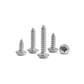 EP 2.5x10mm Linsenflanschkopfschr.