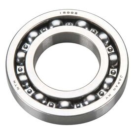 EN29731000-GT55 - BALL BEARING (R)