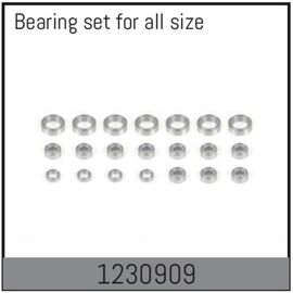 AB1230909-Complete Bearing Set