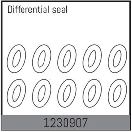 AB1230907-Differential O-Rings (10)