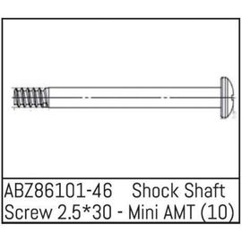 ABZ86101-46-Shock Shaft Screw 2.5*30 - Mini AMT (10)