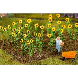 ARW01.181256-16 Sonnenblumen