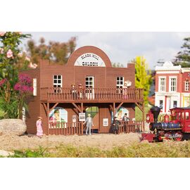 Saloon de Black Hill