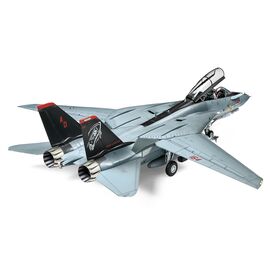 1/48 Grumman F-14D Tomcat