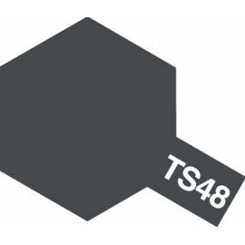 Spray TS-48 gris