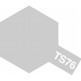 Spray TS-76 Mica Silver