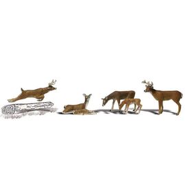 H0 Cerfs / gibier