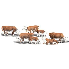 N Vaches de Hereford