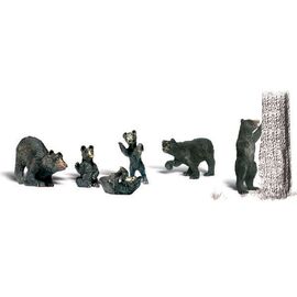 N Ours noir