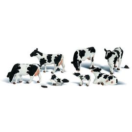 0 Vaches Holstein