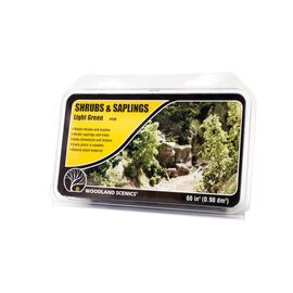 ARBUSTES ET JEUNES ARBRES VERT CLAIR
