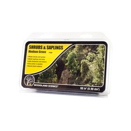 ARBUSTES ET JEUNES ARBRES VERT MOYEN