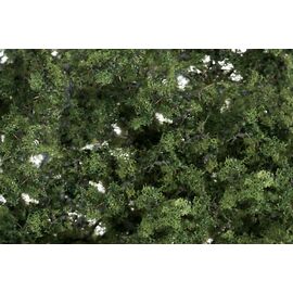 Feuillage fin vert moyen