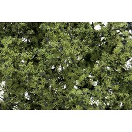 Feuillage fin vert clair
