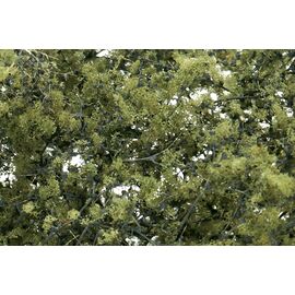 Feuillage fin vert olive
